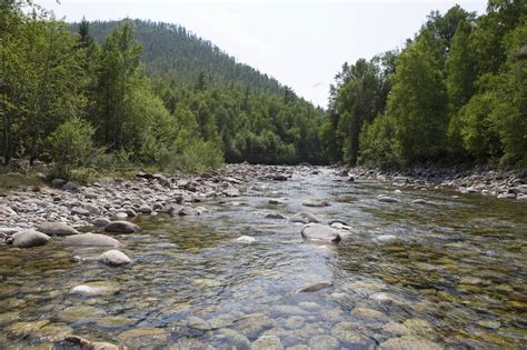 Mountain River In Siberia Stock Image Image Of Boulder 100905685
