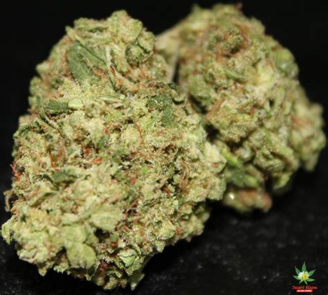 Cake Mix Strain Allbud | knowingbrain