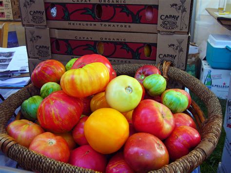 10 Awesome Heirloom Tomatoes For The Newbie Vegetable Gardener Dengarden