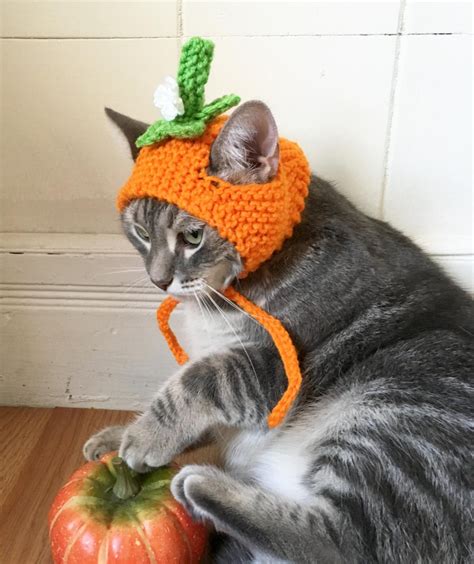 Pumpkin Cat Hat Pumpkin Hat Hat For Cats And Small Dogs Cat Etsy