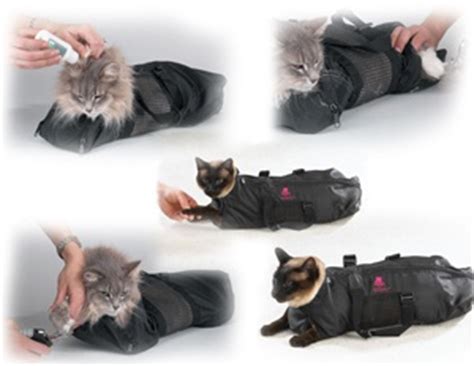 Smaller zippered holes in the base of the bag allow you to remove your cat's leg's one at a time. Cat bag restraint | Cat bag, Cats, Kitty