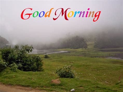 Awesome Good Morning Nature Whatsapp Images Festival Chaska