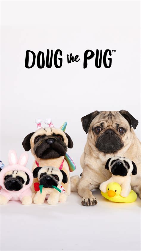 Doug The Pug Famous Birthdays | Famous Birthdays