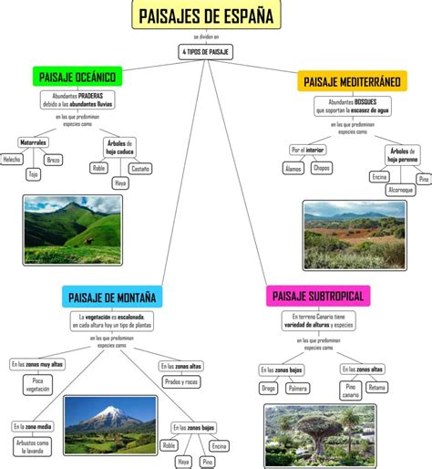 18 Mapa Conceptual De Paisaje Natural Pics Plural Vrogue Co