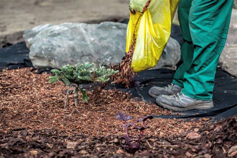 Use topsoil to fill holes or as a base layer to replenish organic matter in existing soil, creating a sustainable place for growth. Topsoil and Mulch | Topsoil Nottingham