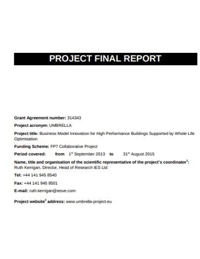 Free 19 Project Final Report Examples And Templates Pdf Word Pages