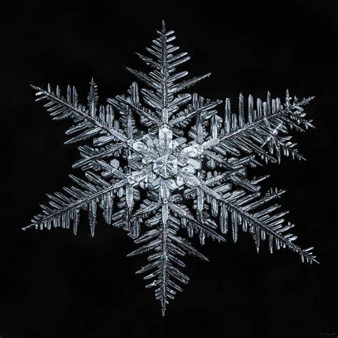 Snowflake-a-Day #60 | The biggest snowflakes are not always … | Flickr