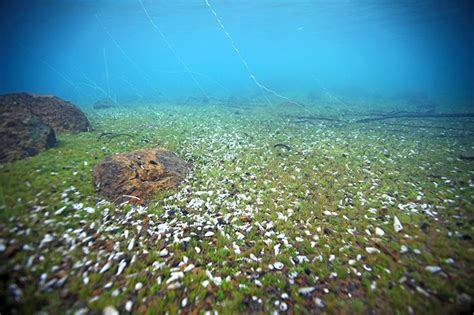 See reviews and photos of bodies of water in freshwater, england on tripadvisor. 10 of the Deepest Lakes in the World - Flavorverse