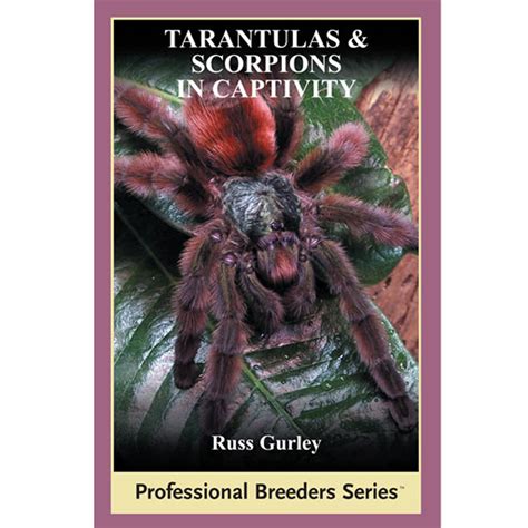 Tarantulas And Scorpions In Captivity By Russ Gurley Bookshop