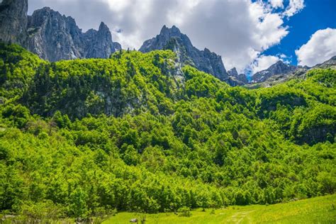 Scenic Forest And Meadows Among The Snow Capped Mountains Stock Photo