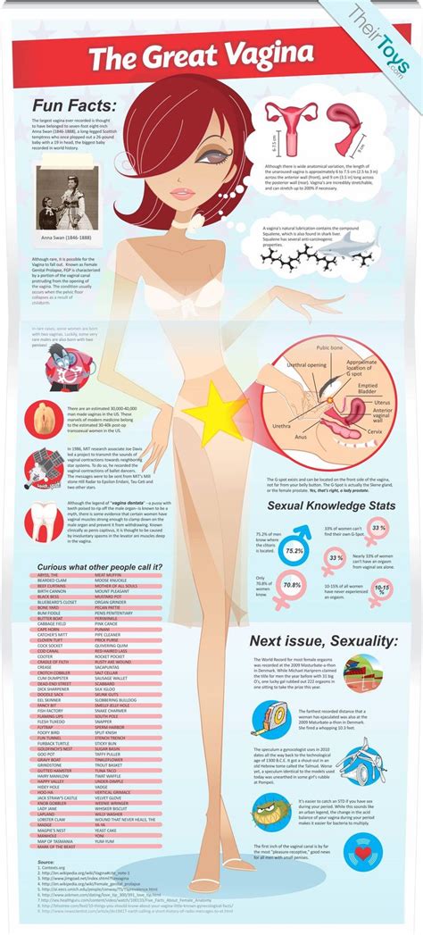 235 Best Images About Sexual Anatomy On Pinterest Endocrine System