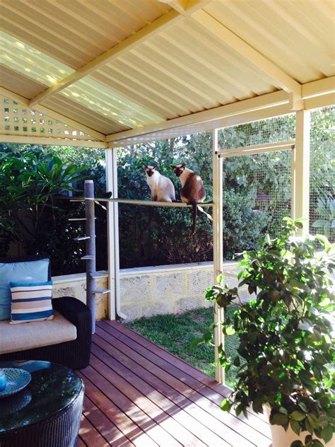 Cats · 1 decade ago. Indoor vs. Outdoor | Cat Friendly Homes