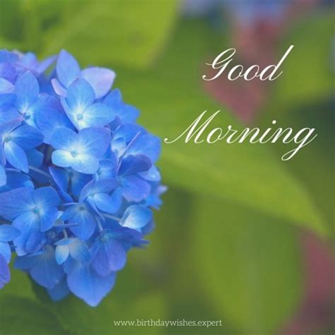 Good Morning With Blue Flowers