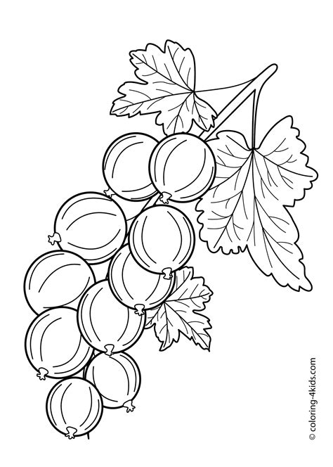 This article will be judged by what is written as a justification and may be deleted or rewritten if the justification does not adhere to the color sorting policies.this color. Flavoursome Gooseberry Colouring Pages - Picolour