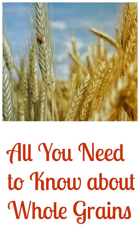 All You Need To Know About Whole Grains Nutrizonia Whole