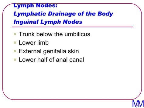 008 Lymph Nodes Introduction To Clinical Surgery Lectures