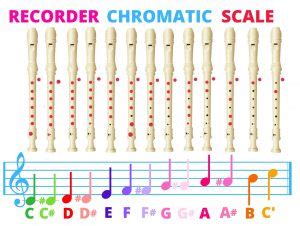 🥇Recorder Notes Chart 🥇Fingering Chart 🥇 ALL NOTES