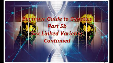 genetics part 5b sex linked varieties continued youtube