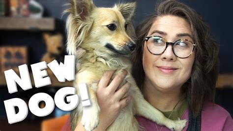 Meet Chica New Puppy Monday Vlog Youtube