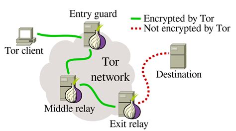 如何為 Tor Network 出一分力建立 Tor Relay 分享頻寬吧 Nicholas hk
