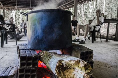 Ayahuasca The Hallucinogenic Plant Attracting Hordes Of Tourists To
