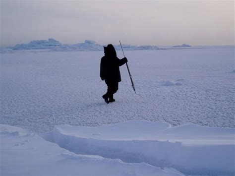 Indigenous Knowledge In Modern Polar Science Ice Stories Dispatches