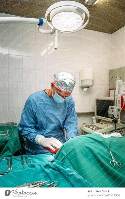 Veterinary Surgeon Performing A Surgical Procedure On A Dog A Royalty