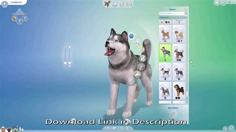 Activate The Sims 4 Cats And Dogs Expansion Pack And Enjoy The New Furry