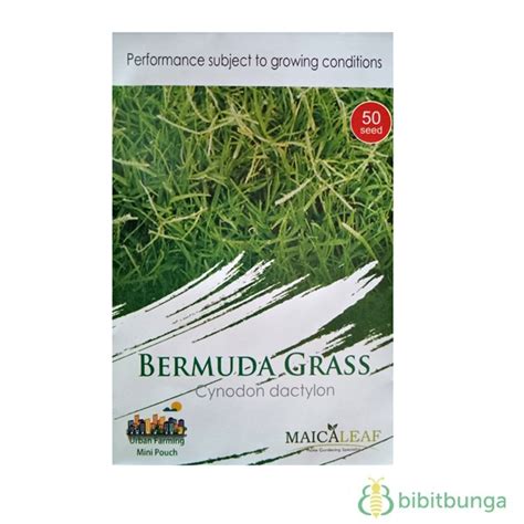 Urea adalah sejenis baja yang hanya membekalkan nitrogen tetapi ianya mampat dengan nutrien tersebut. Benih Rumput Golf / Bermuda Grass 50 Biji - Maica Leaf ...