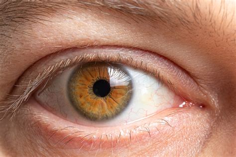 10 Common Questions About Corneas Ke Eye Centers Of Texas
