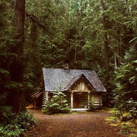 Cosy Little Cabin In The Forest Cabins In The Woods Forest House