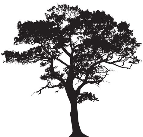 A Black And White Silhouette Of A Tree