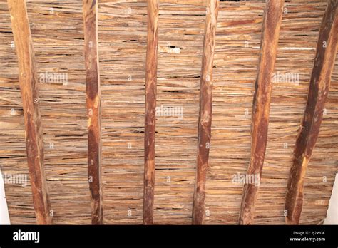 Underside Of Thatch Roof Showing Beams And Thatching Stock Photo Alamy