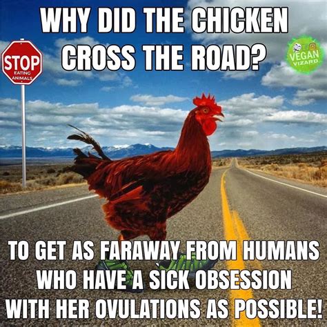 Why Did The Chicken Cross The Road Rvegan
