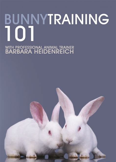 Rabbit Training Barbaras Force Free Animal Training