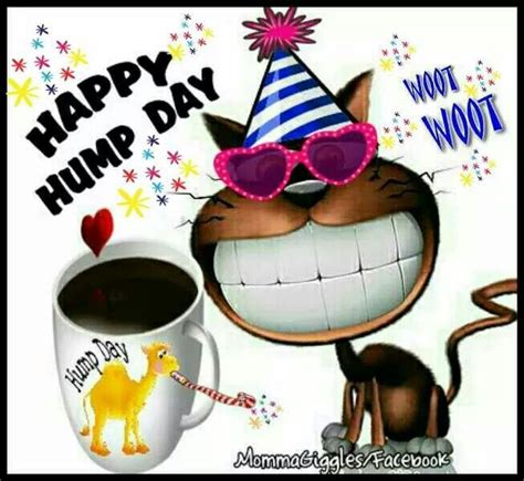 Happy Hump Day Hump Day Quotes Happy Day Quotes Happy Morning Quotes