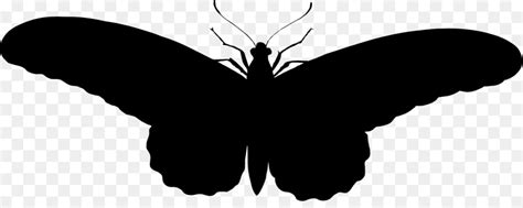 Free Silhouette Butterfly Download Free Silhouette Butterfly Png