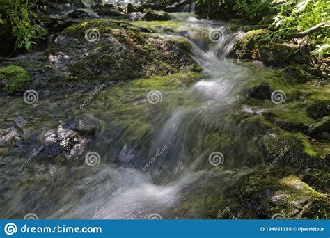 A Mountain River Flows Through The Forest Stock Image Image Of Travel