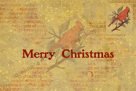 Annes Creative Cornucopia Merry Christmas Cardinal Stamp Postcard