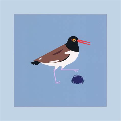 Pigeon Post Oystercatchers Obstacle Postcard Print