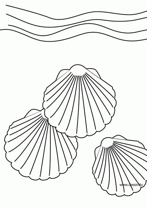 Printable Seashell Coloring Pages Coloring Home