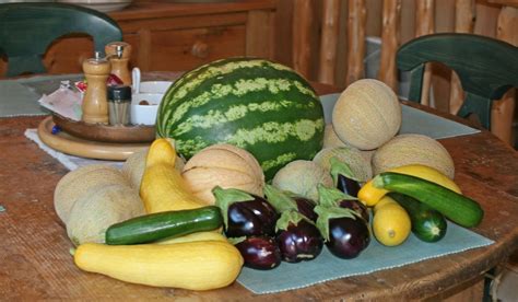 Loving The Tasty Melons And Veggies Growing On Our Farm This Summer
