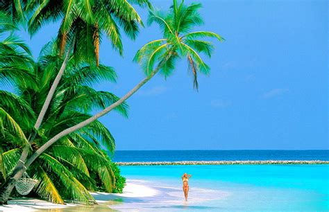 Professional High Resolution Stock Images Of Tropical