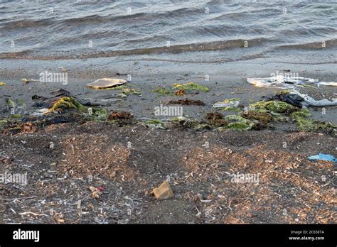Plastic Bottles Left On The Dirty Sand Beach With Various Garbages Stock Photo Alamy