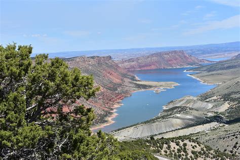 Flaming Gorge National Recreation Area Photograph By Bandie Newton