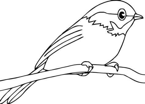 Though they're familiar town and city look for american robins running across lawns or stalking earthworms in your yard or a nearby park. Robin Coloring Pages | Bird coloring pages, Coloring pages ...