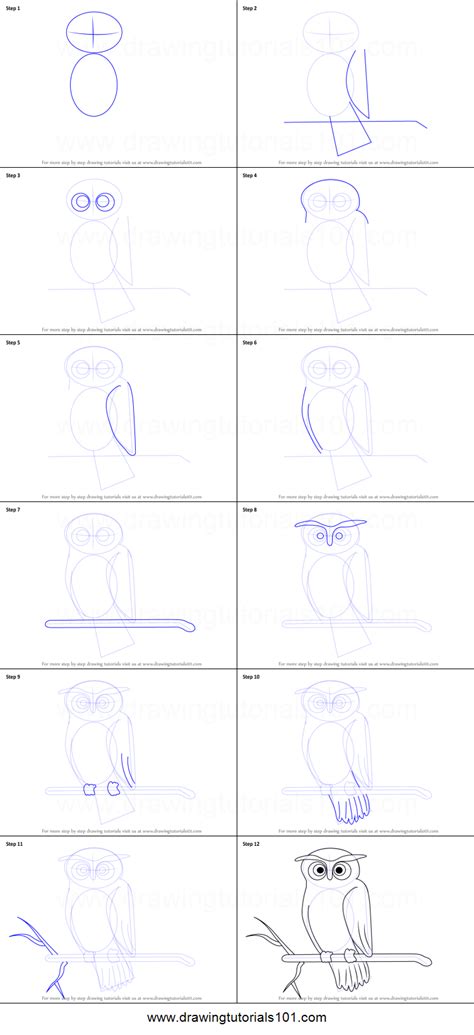 How To Draw A Scary Owl Printable Step By Step Drawing