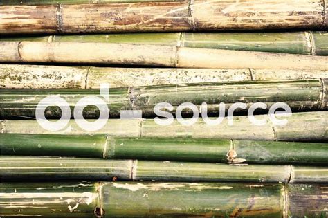 Bamboo Pile Adsourceid