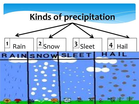 Kinds Of Precipitation