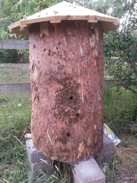 3,633 likes · 26 talking about this. Making a log hive - Bee Kind Hives | Bee keeping, Hives ...